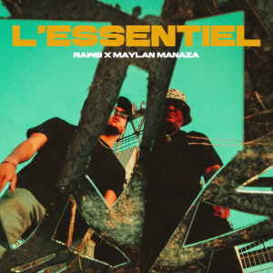 Album L'Essentiel from Rawb