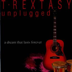收聽T Rextasy的Till Dawn歌詞歌曲