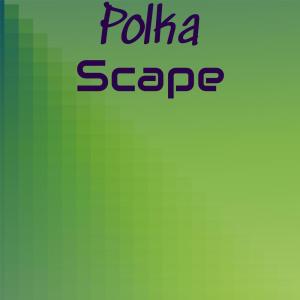 Various Artists的專輯Polka Scape
