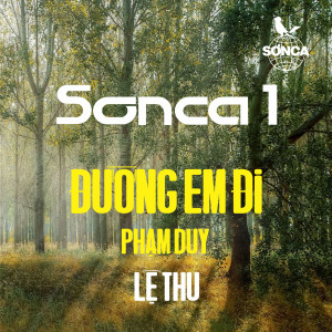 收聽Lệ Thu的Đường Em Đi (1971)歌詞歌曲