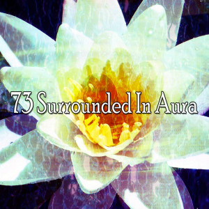 ดาวน์โหลดและฟังเพลง Reiki Miracle พร้อมเนื้อเพลงจาก Asian Zen Spa Music Meditation