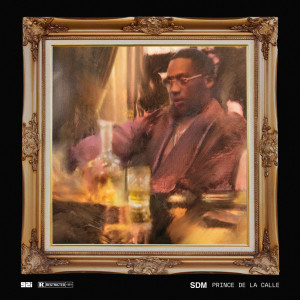 ดาวน์โหลดและฟังเพลง Prince de la Calle (Explicit) พร้อมเนื้อเพลงจาก Sdm