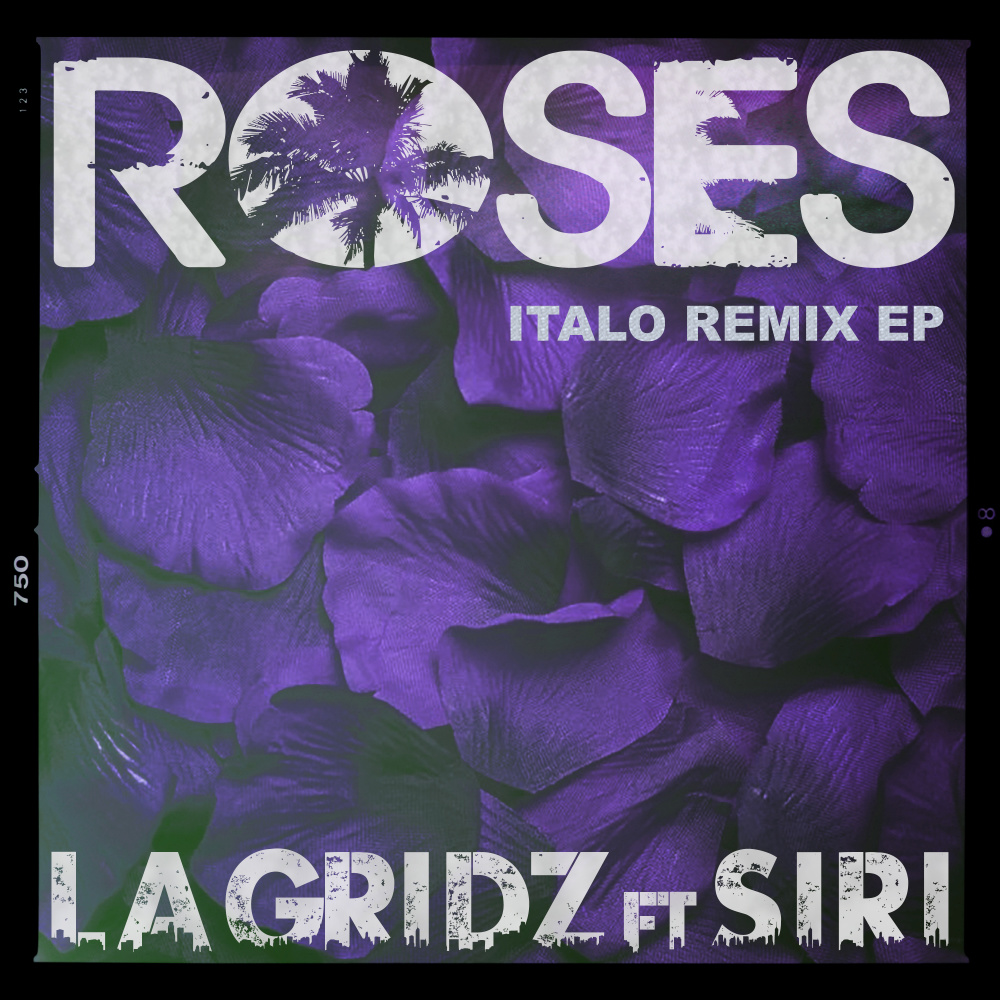 Roses (Iker Sadaba Italo Remix Instrumental)