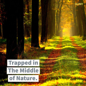 Lullfinity的专辑Trapped in the Middle of Nature