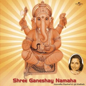 收聽Anuradha Paudwal的Tujhvin Vinvoo Kuna (Album Version)歌詞歌曲
