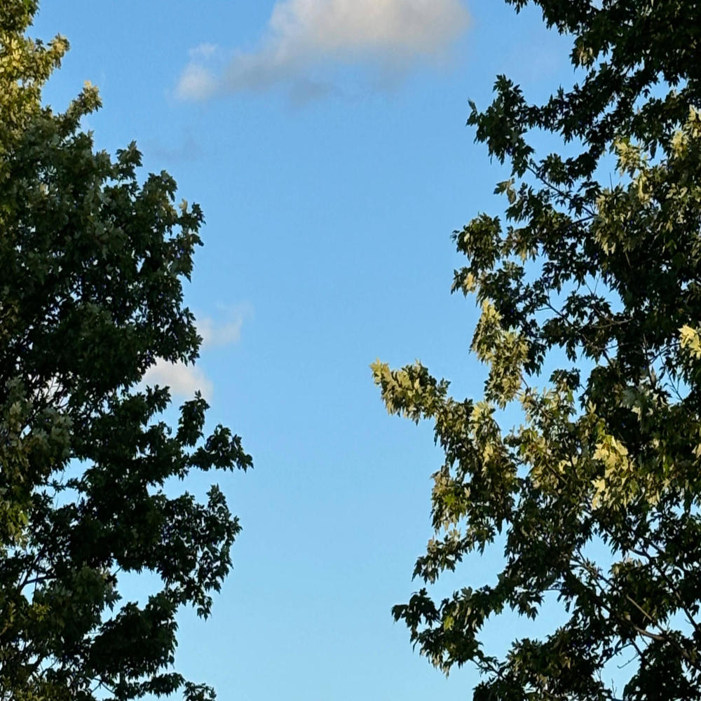 See The Sky (Explicit)