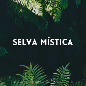 Album Selva Mística: Ritmos Binaurales Para La Meditación oleh Lluvia Relajante