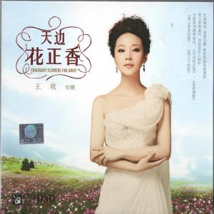 Listen to 天亮了 song with lyrics from 王欢