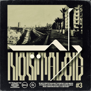 Various的专辑Raï Nostalgie Vol.3