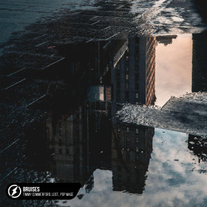 ดาวน์โหลดและฟังเพลง Bruises (Acoustic) พร้อมเนื้อเพลงจาก Timmy Commerford