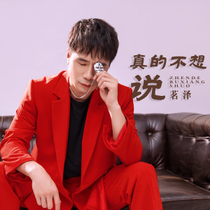 Dengarkan lagu 真的不想说 (伴奏) nyanyian 王炫文 dengan lirik