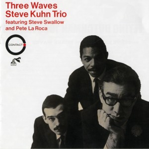 ดาวน์โหลดและฟังเพลง Why Did I Choose You พร้อมเนื้อเพลงจาก Steve Kuhn Trio