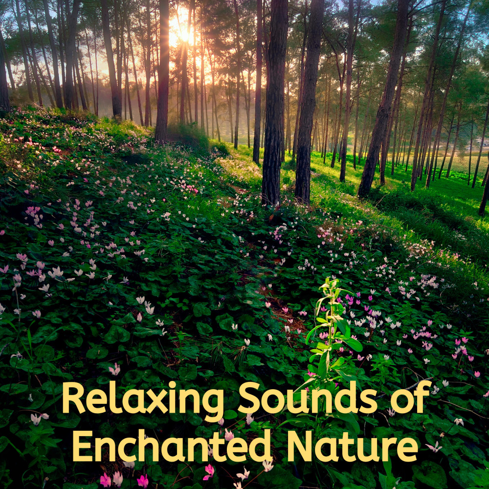 Celestial Songs of Nature's Magic