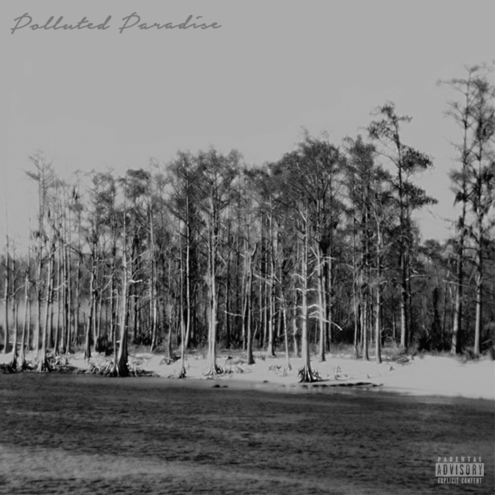 Polluted Paradise (Explicit)