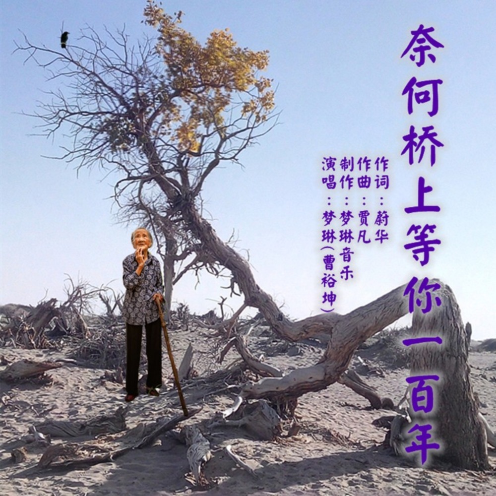 奈何桥上等你一百年 (伴奏)