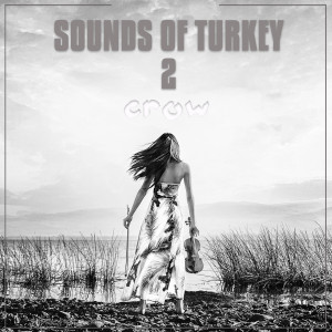 Listen to Sounds Of Turkey, Vol. 2 song with lyrics from CROW