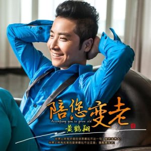 Listen to Accompany You To Grow Old song with lyrics from 黄鹤翔