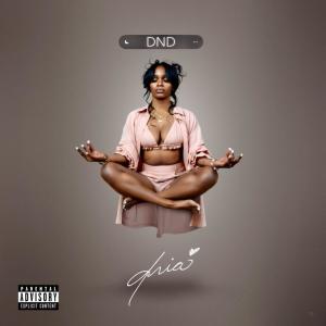 收聽Dria的Dream (feat. Sambu)歌詞歌曲