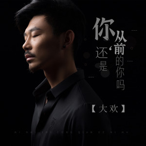 Listen to 你还是从前的你吗 (伴奏) song with lyrics from 大欢