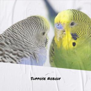 Listen to Transmit Himself song with lyrics from Anka