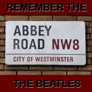 ดาวน์โหลดและฟังเพลง In Spite of All The Danger พร้อมเนื้อเพลงจาก NW8