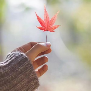 Album 你在思念谁 from 顾可勋