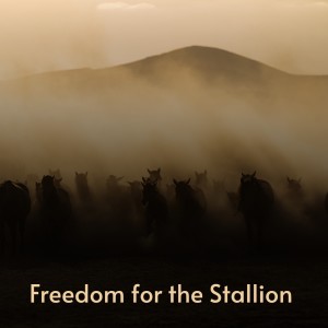 Dengarkan Something You've Got lagu dari Maxine Brown & Chuck Jackson dengan lirik