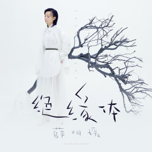 ดาวน์โหลดและฟังเพลง 绝缘体 พร้อมเนื้อเพลงจาก 薛明媛