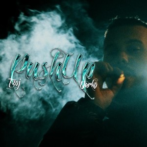Listen to PUSH UP (Explicit) song with lyrics from TZOJ
