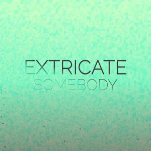 Various Artists的專輯Extricate Somebody