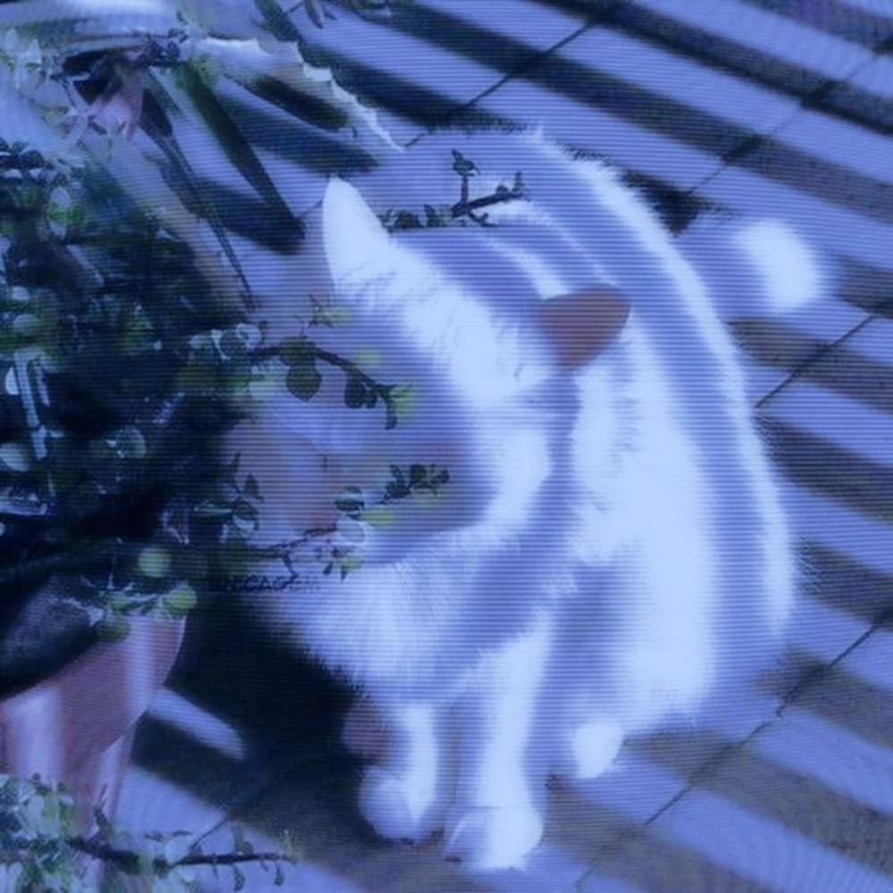 Katz. (Slowed)