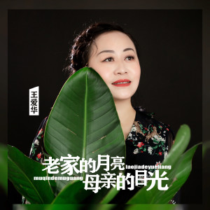 收聽王愛華的老家的月亮母親的目光歌詞歌曲