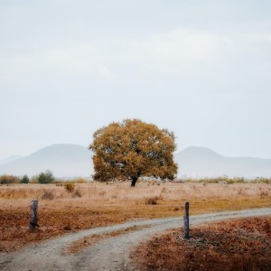 收聽Yuletta Yucha的Luka Yang Merelakan歌詞歌曲