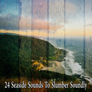 海洋之聲的專輯24 海邊的聲音讓你睡個安穩覺