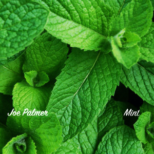 Album Mint from Joe Palmer