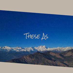 Various的专辑These As