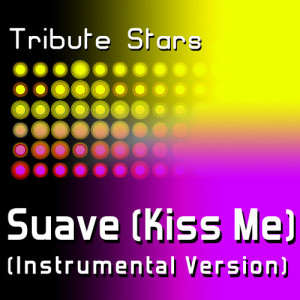 收聽Tribute Stars的Nayer feat. Mohombi & Pitbull - Suave (Kiss Me) (Instrumental Version)歌詞歌曲