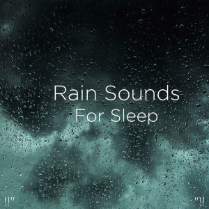 收听Rain Sounds的Rain Sounds歌词歌曲