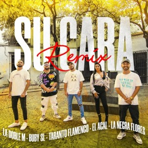 收听La Doble M的Su Cara (Remix)歌词歌曲