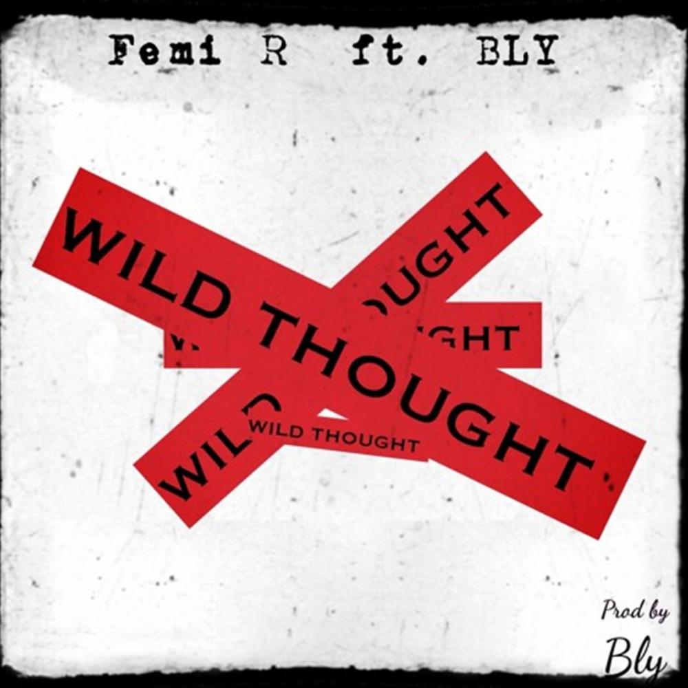 Wild Thoughts(feat. Bly) (Explicit)