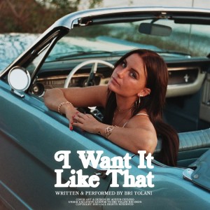 收聽Bri Tolani的I Want It Like That歌詞歌曲