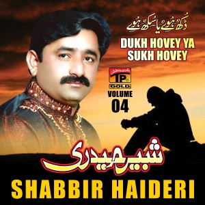 收聽Shabbir Haidri的Dill Laga Kar Sochta Hoon歌詞歌曲