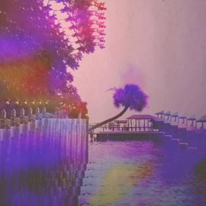 Album lotus deluxe (Explicit) from LANNDS