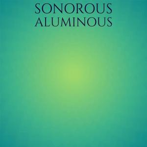 Album Sonorous Aluminous from Various