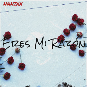 收聽Nanixx的Eres Mi Razón歌詞歌曲