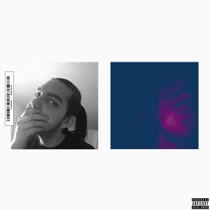 Album Concluzii from 