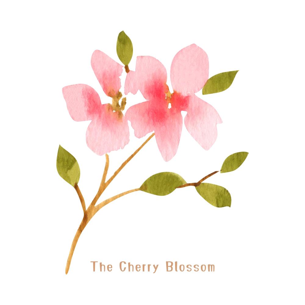 The Cherry Blossom