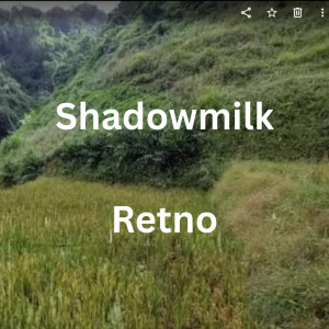 Album Shadowmilk.mp3 from Retno