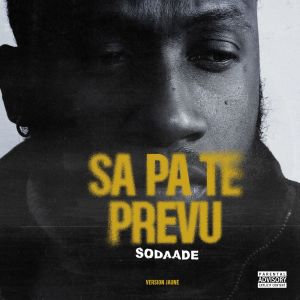 Listen to RETROUVAILLES song with lyrics from Sodaade