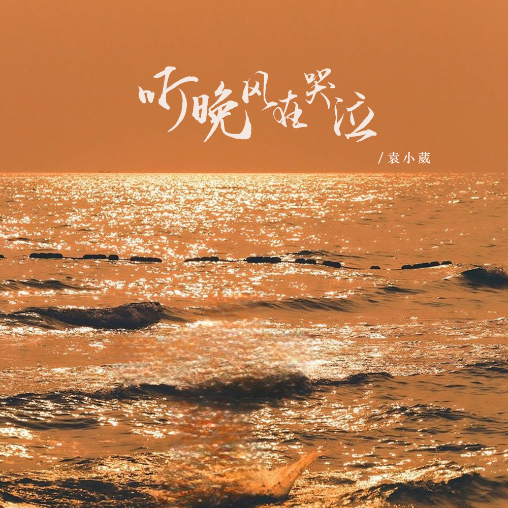 听晚风在哭泣 (Live合唱版)